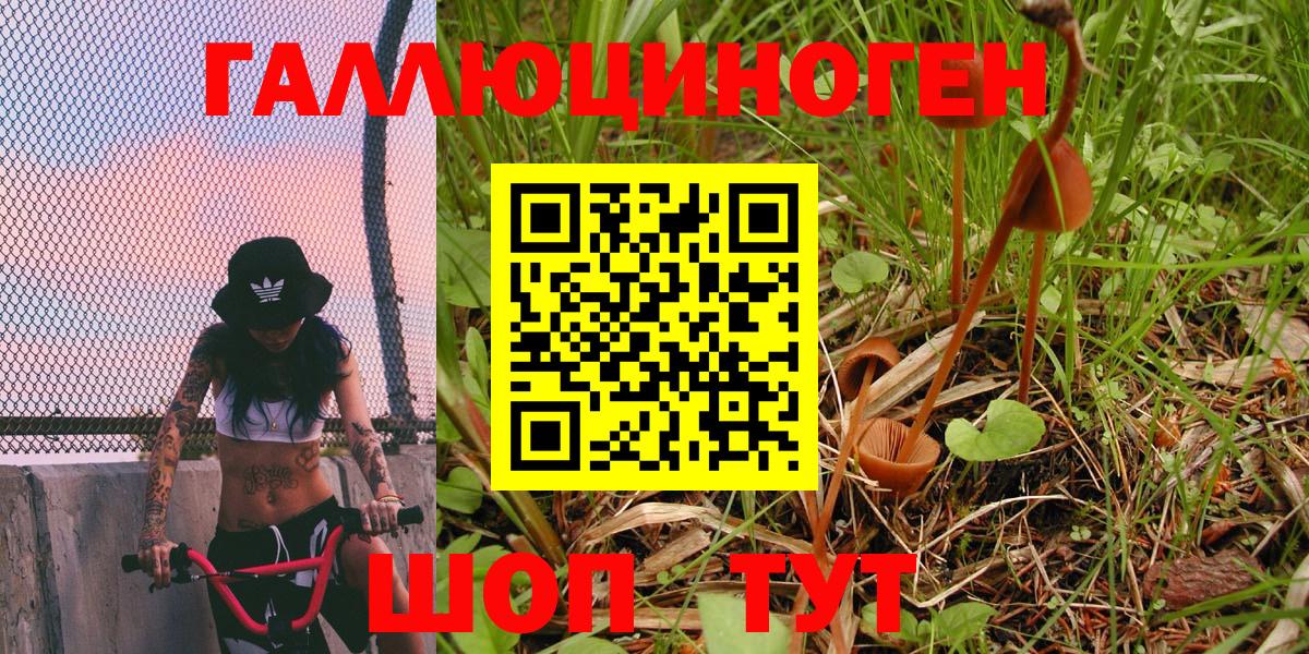 Псилоцибиновые грибы Psilocybe  Вход с VPN  Галлюциногенные грибы мухоморы  Алапаевск 